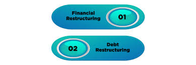 restructuring options for a company