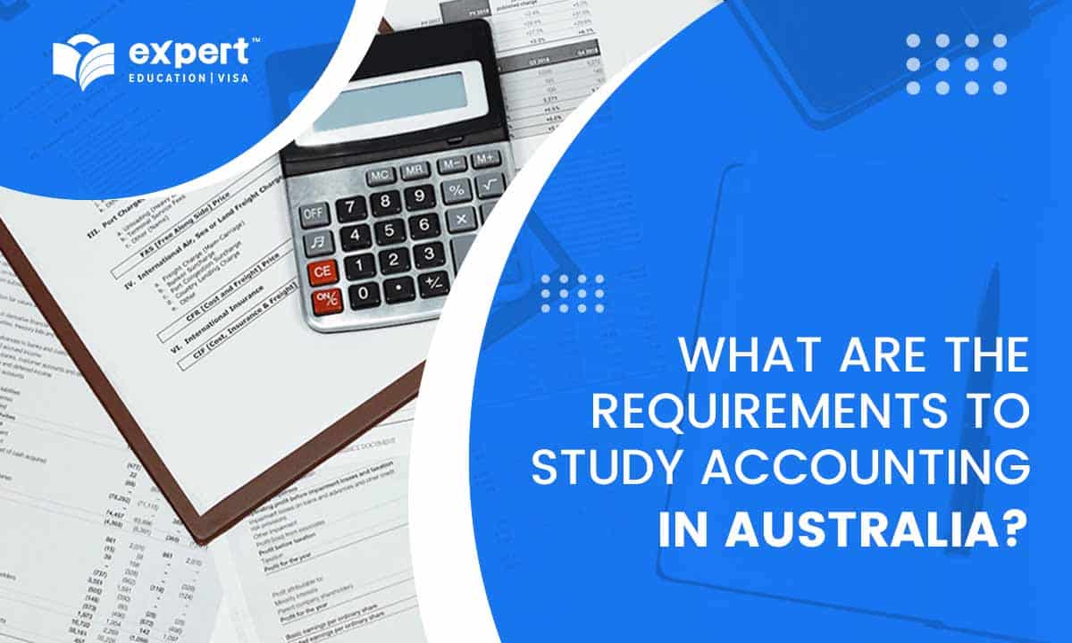 How much are accounting fees Australia?